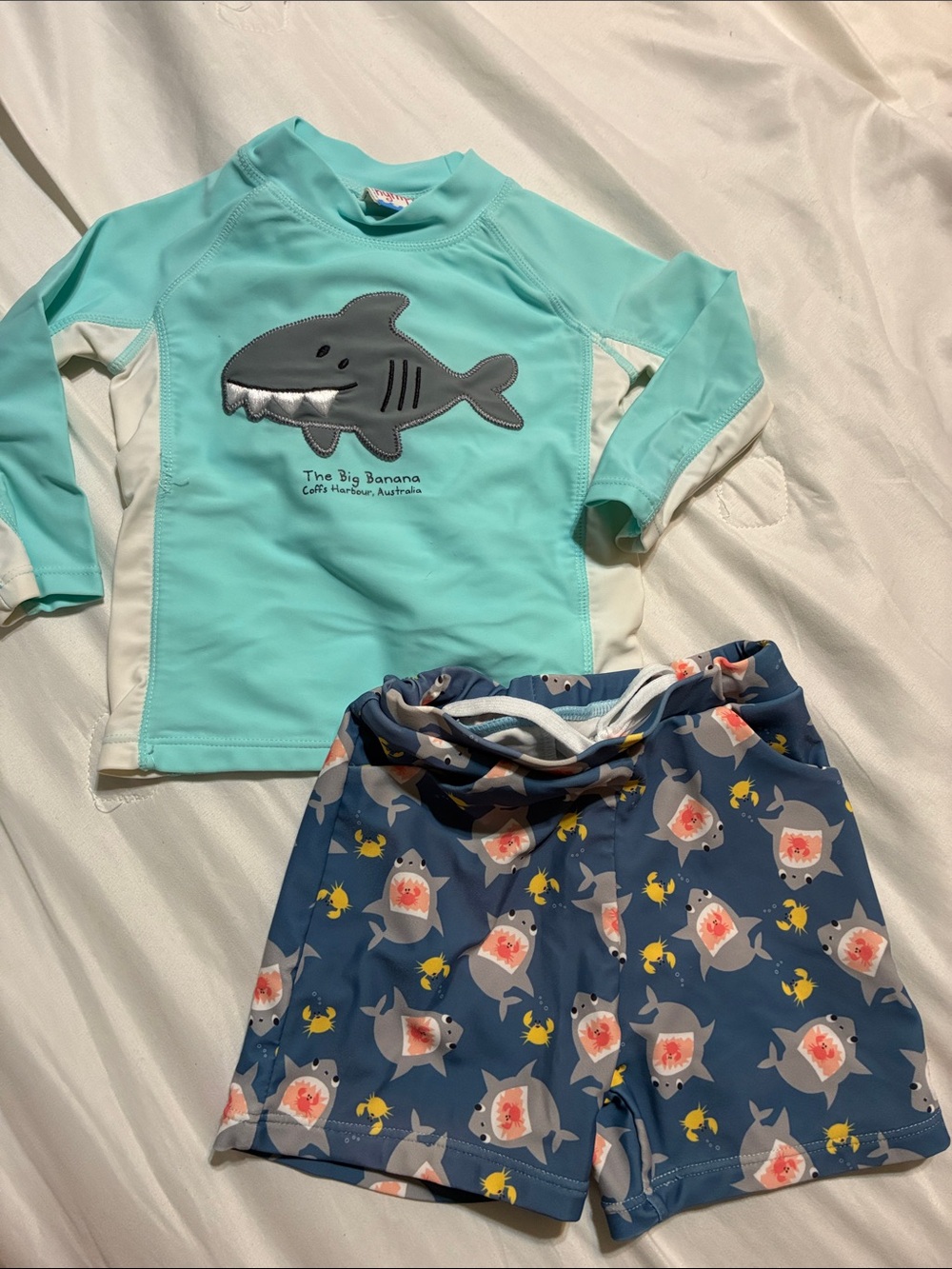 Earth Mint & Navy Shark Two-Piece Swim Set